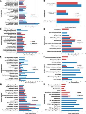 Role of epigallocatechin-3- gallate in the regulation of known and novel microRNAs in breast carcinoma cells